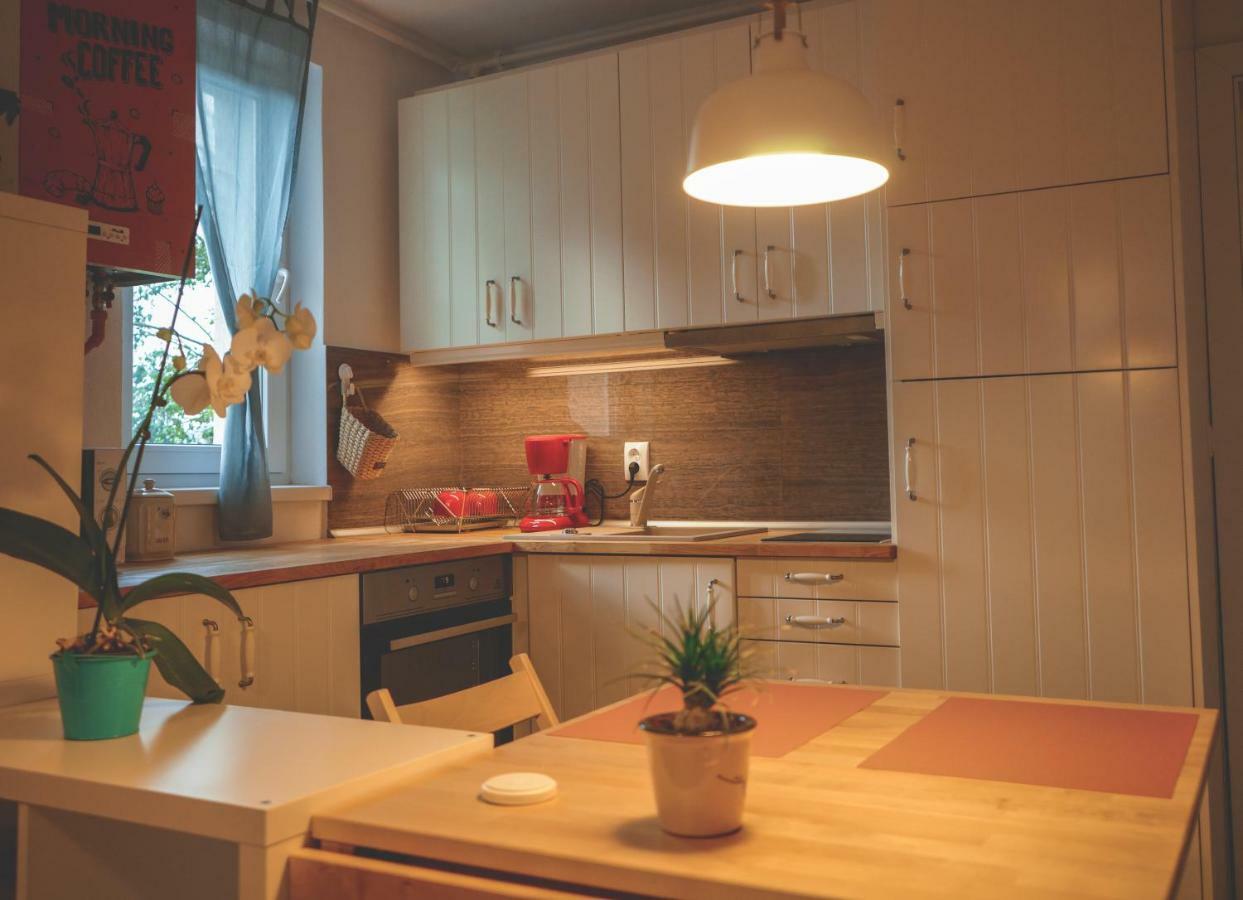 Comfy Apartment 锡吉什瓦拉 外观 照片