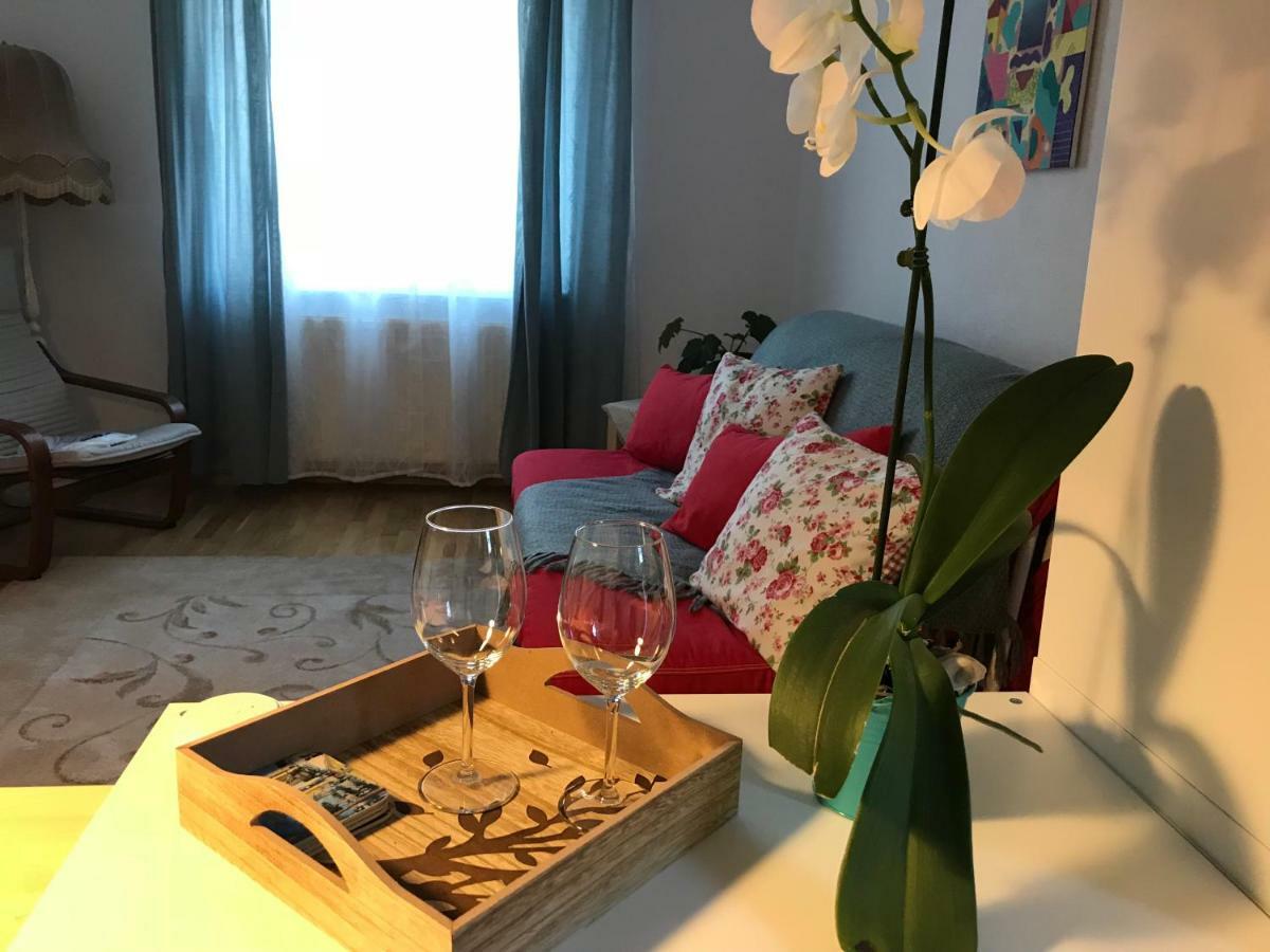Comfy Apartment 锡吉什瓦拉 外观 照片