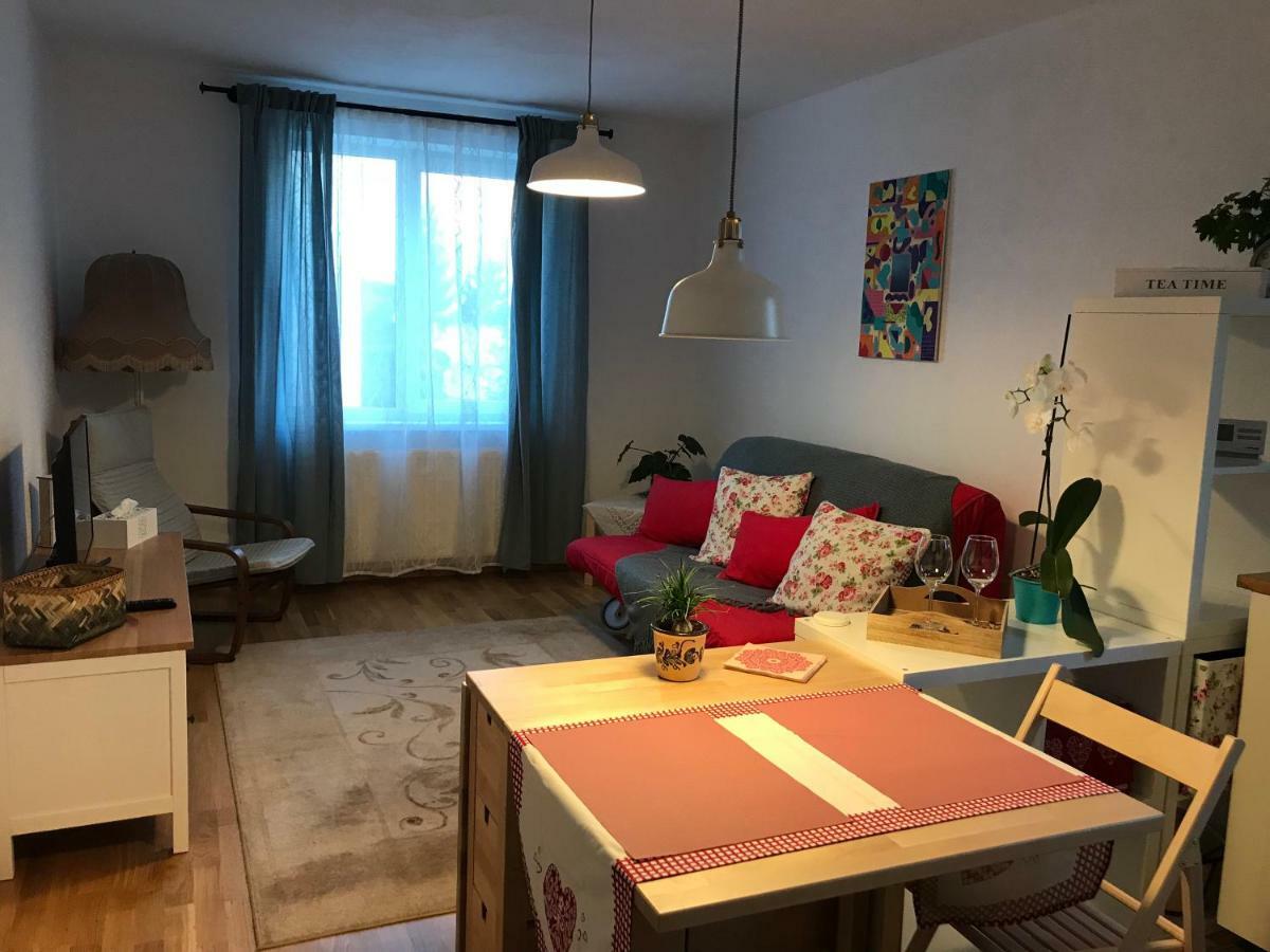 Comfy Apartment 锡吉什瓦拉 外观 照片