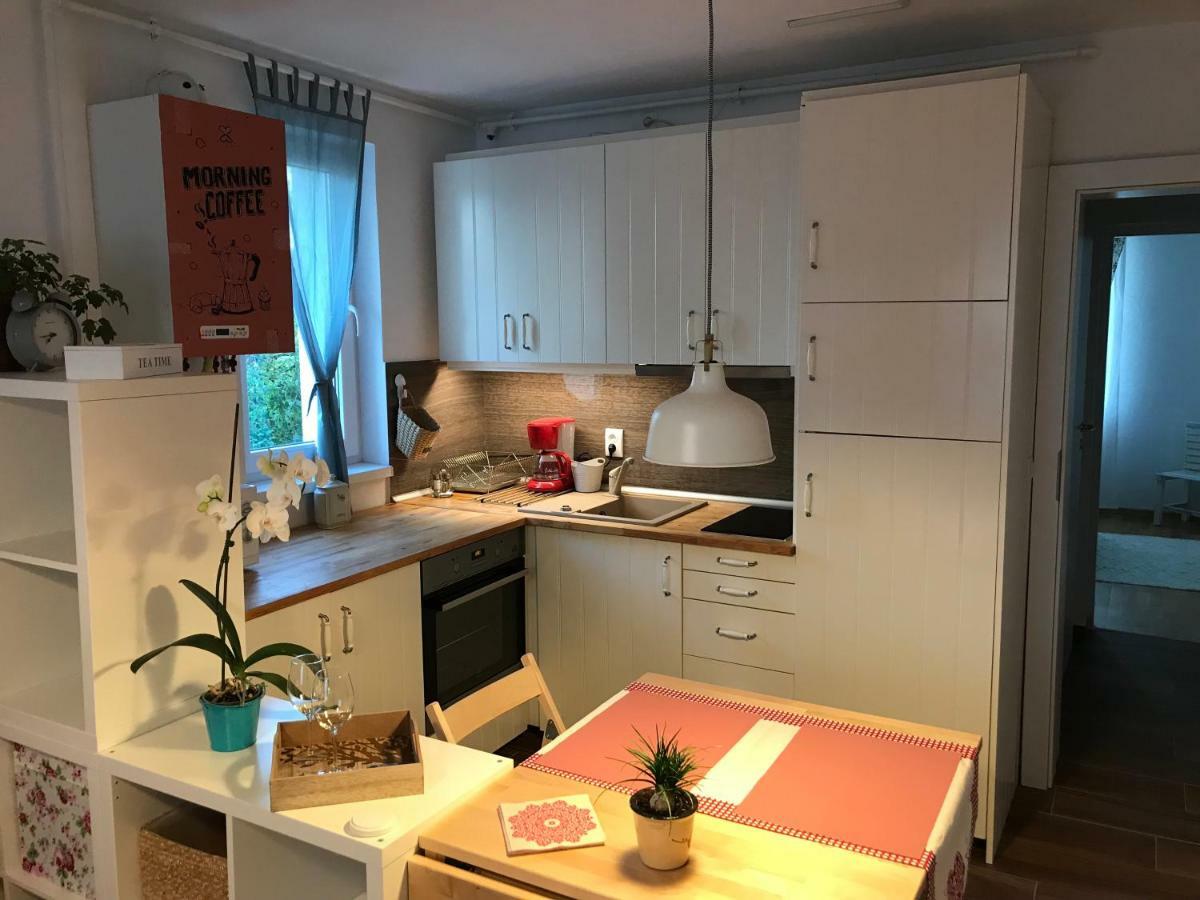 Comfy Apartment 锡吉什瓦拉 外观 照片