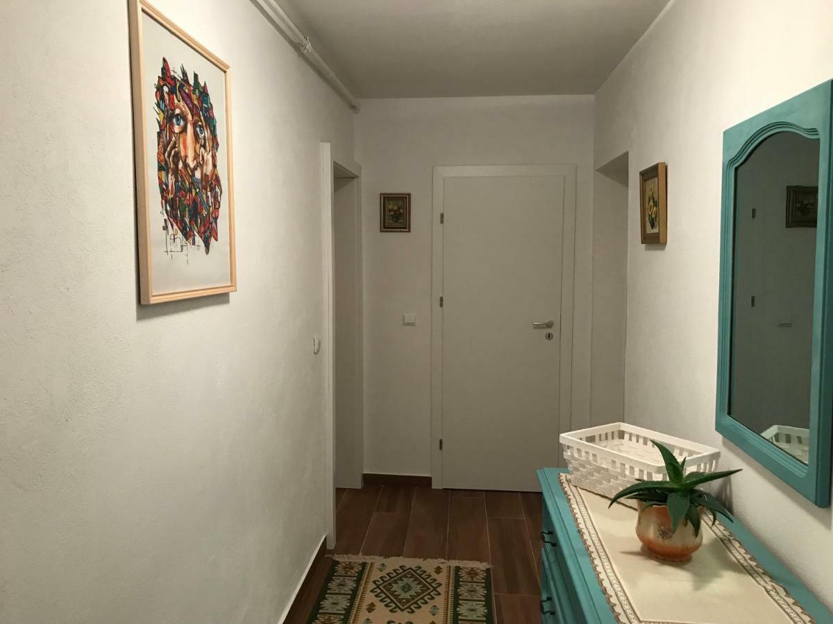 Comfy Apartment 锡吉什瓦拉 外观 照片